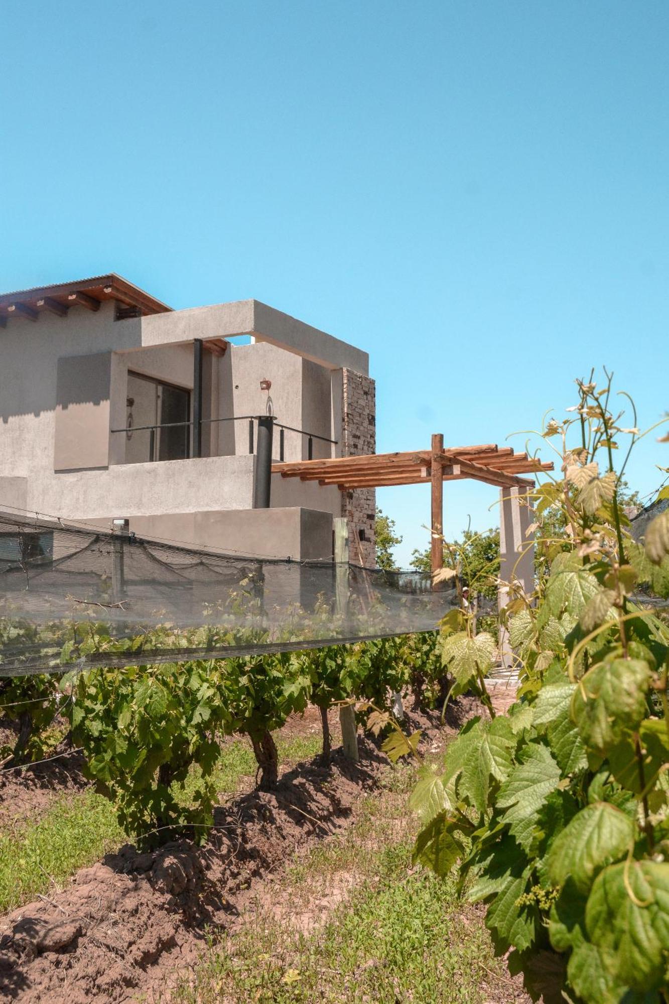 Agrelo Vines Lodge Exterior photo