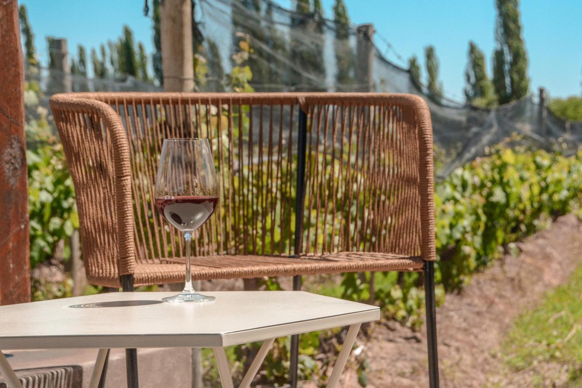 Agrelo Vines Lodge Exterior photo